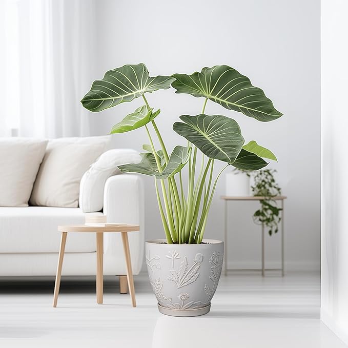 10 Inch Plant Pot Ceramic Planter Pot with Drainage Hole and Saucer Round Planter Large Flower Pot for Indoor Outdoor Plants Home Garden Decor White-VerdiqueGarden