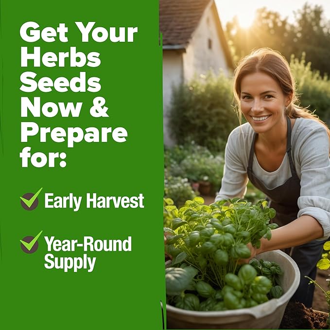 HOME GROWN 10 Herb Seeds for Planting 3,000+ Non-GMO Heirloom Seeds | Extra Large Variety Pack Herb Kit – Indoor Outdoor & Hydroponic | Culinary Seed Set | Grow Your Own Herbs | Gift for Beginners-VerdiqueGarden