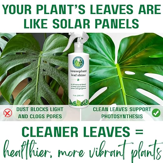 Houseplant Leaf Shine Spray – All-Natural Leaf Cleaner and Gloss for Healthy Shine & Better Photosynthesis | Perfect for House Plants and Foliage | 8 oz-VerdiqueGarden