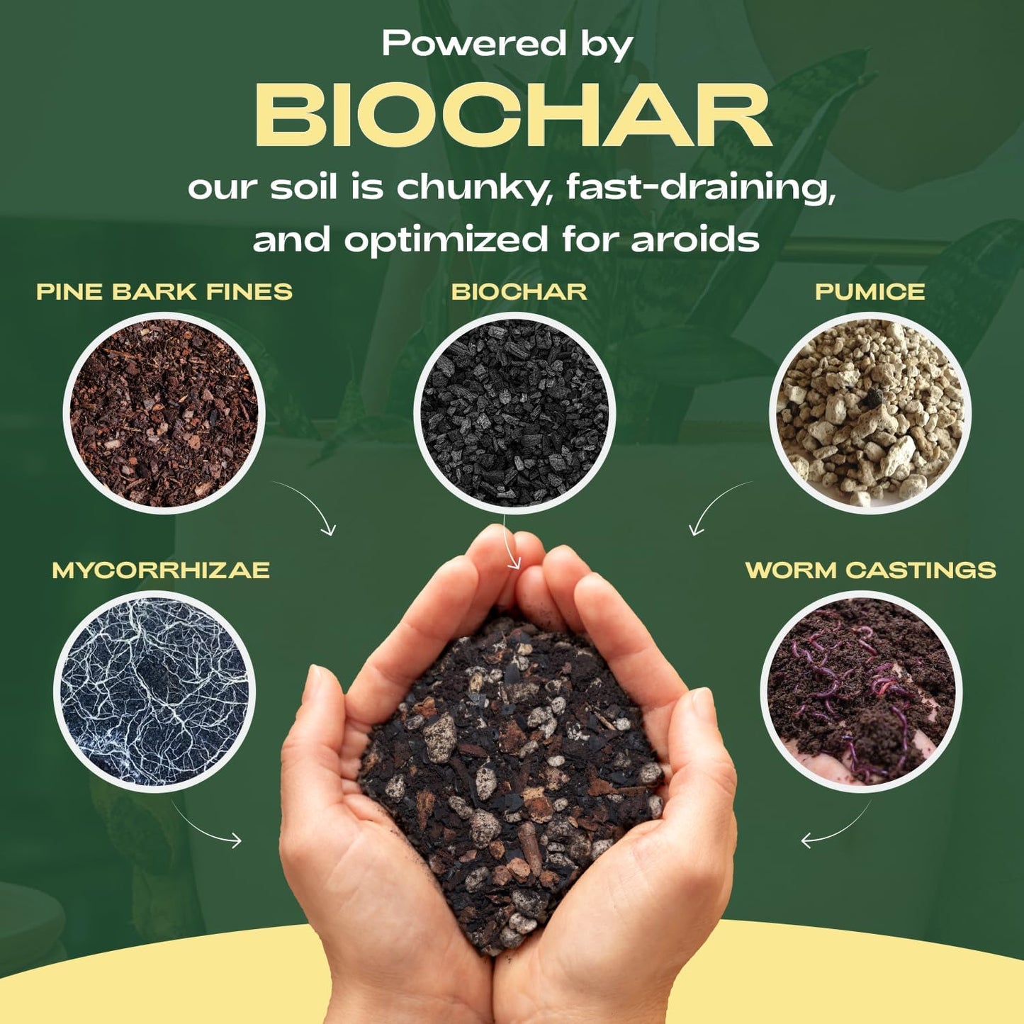 Rosy Soil Aroid Soil Potting Mix - Peat-Free, Microbially Active Biochar Powered Soil for Aroids - Superior Aeration & Drainage for Aroid Plants - Ideal for Indoor Gardening - 4 Quarts-VerdiqueGarden