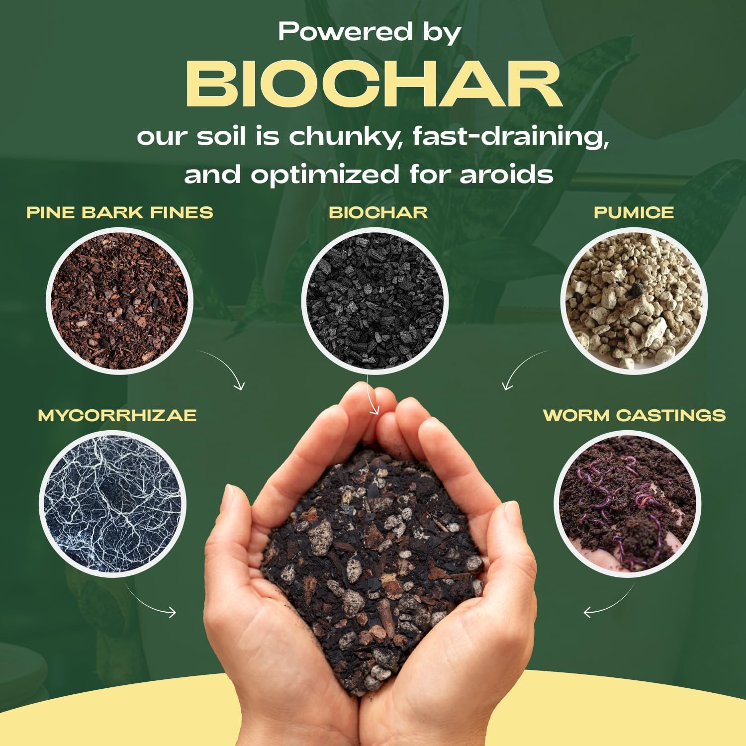 Rosy Soil Aroid Soil Potting Mix - Peat-Free, Microbially Active Biochar Powered Soil for Aroids - Superior Aeration & Drainage for Aroid Plants - Ideal for Indoor Gardening - 4 Quarts-VerdiqueGarden