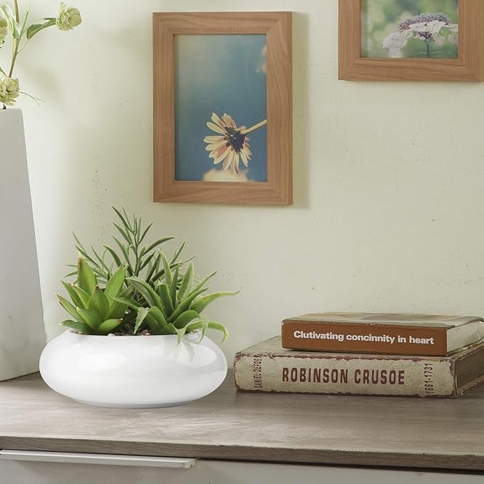 Hollyone Large Artificial Succulents Plants Faux Succulents in Pots Fake Succulent Plastic Potted Plants with White Ceramic Pot for Home Decor Office Desk Bathroom Shelf Living Room Decoration-VerdiqueGarden