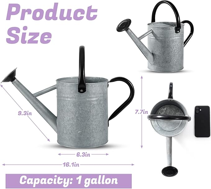 1 Gallon Watering Can for Plants, Watering Cans for Indoor&Outdoor Gardening, Galvanized Steel Watering Pot with Removable Spout, Metal Water Can with Ergonomic Movable Handle(Rustic Silver)-VerdiqueGarden
