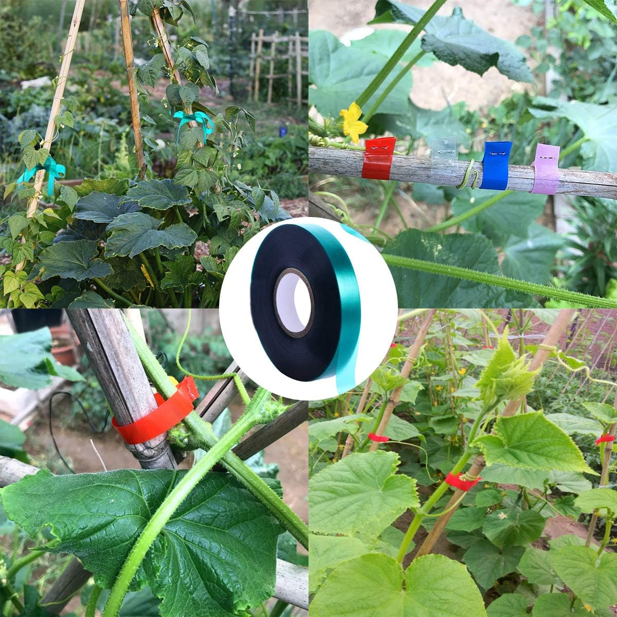 6 Rolls 150 Feet Stretch Tie Tape 0.5 Inch Garden Tie Tape Thick Plant Ribbon Garden Green Vinyl Stake for Indoor Outdoor Patio Plant Use-VerdiqueGarden