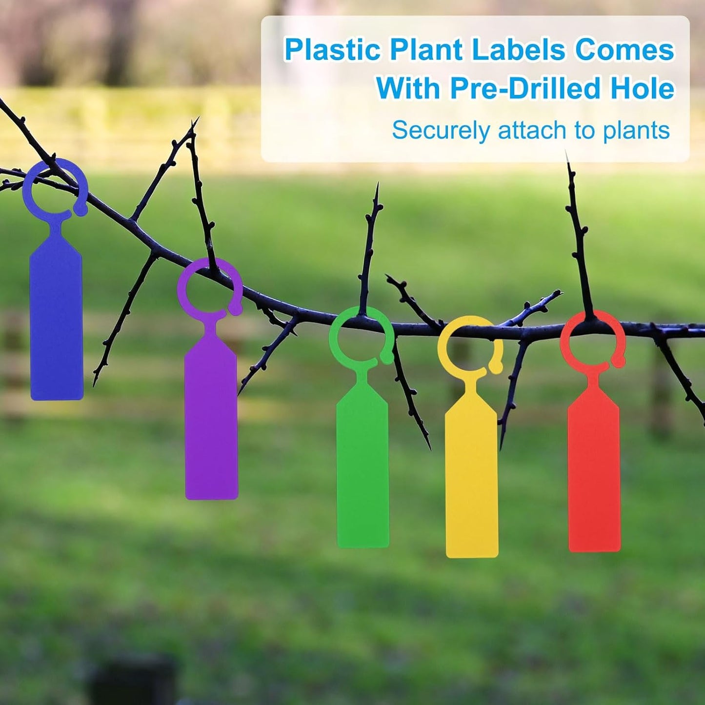 uxcell Waterproof Plastic Plant Labels, 100 Pcs 4.3 Inch Plant Hanging Labels, Color Hanging Plant Markers for Indoor Plants,Outdoor,Garden and Greenhouse (Red)-VerdiqueGarden