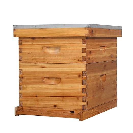 VINGLI 10 Frames Beehive, Complete Beehive Kit Includes 1 Deep Boxes, 1 Medium Box, Frames and Waxed Foundations, for Yard, Field, Bee Farm (2 Layer)-VerdiqueGarden