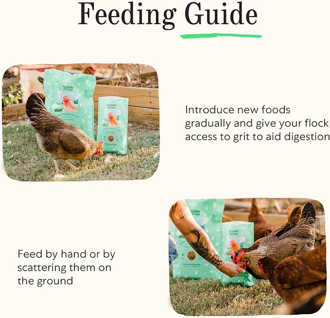 Grubblies - Black Soldier Fly Larvae for Chickens - Chicken Treats Grown in The US and Canada - for Strong Eggshells and Healthy Feathers - Grubblies Hometown Harvest 1LB-VerdiqueGarden