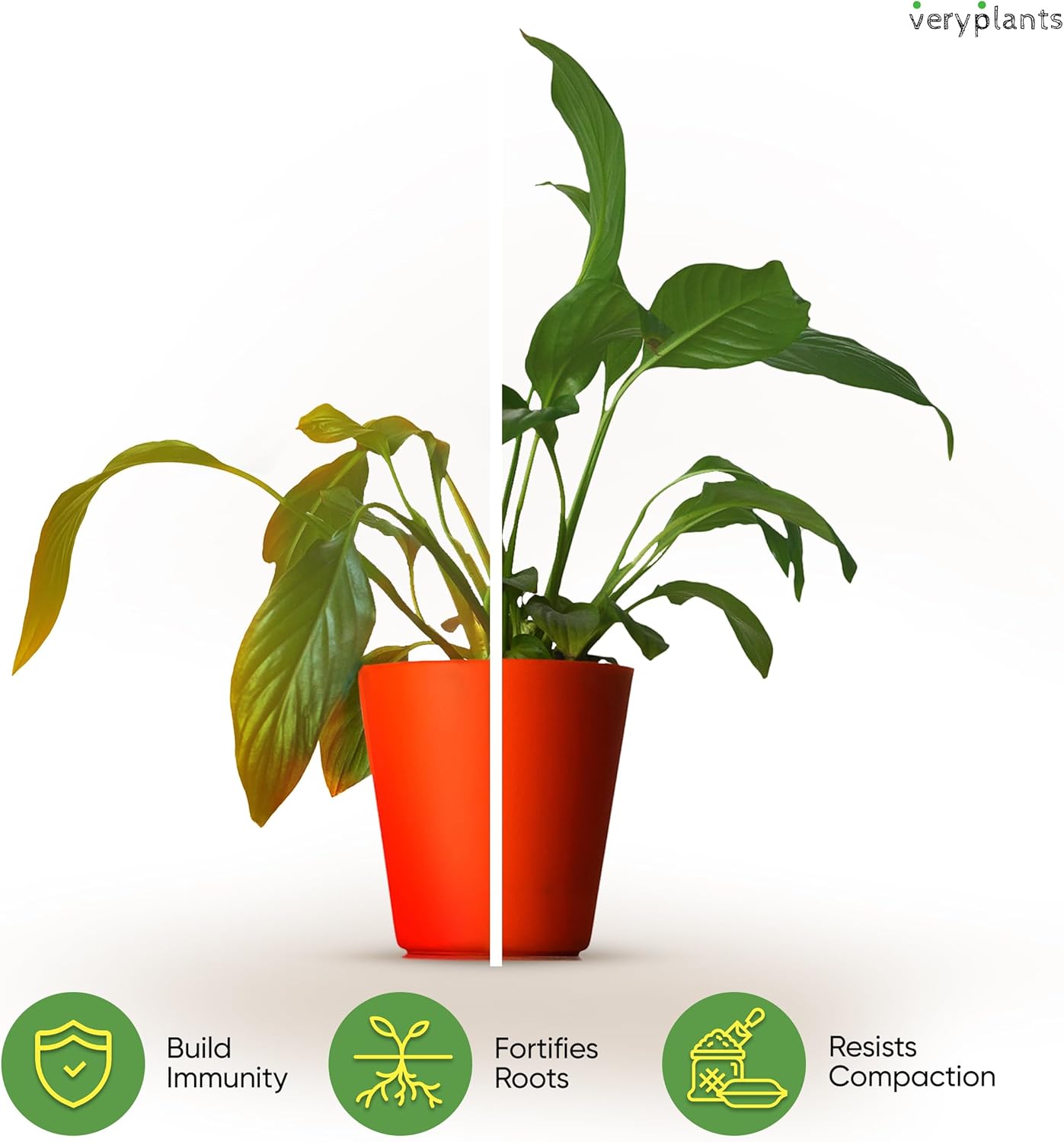 Molly's Aroid Mix - Premium Soilless Potting Mix for Houseplants - Fast Draining, Chunky & Easier to Water vs. Soil for Indoor Plants - with Bark, Coco Chips, Worm Castings, Mycorrhizae 10 Dry Quarts-VerdiqueGarden