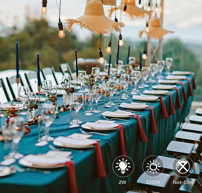 S14 Replacement LED Light Bulbs, Shatterproof & Waterproof 2W S14 LED Bulbs, Outdoor String Lights , E26 Base Patio Edison LED Light Bulbs, Warm White 2200K Plastic 150ML Non-Dimmable 48 Pack-VerdiqueGarden