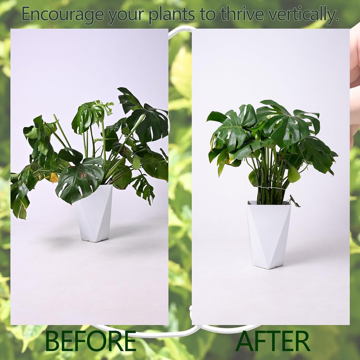 White Monstera Plant Stem Support - 5PCS 7.3x6.25in Durable Adjustable Garden Stake for Indoor Plants, Fishbone Cactus Holder, Innovative Leaf Clip Set, Ideal Tool for Healthy Plant Growth-VerdiqueGarden