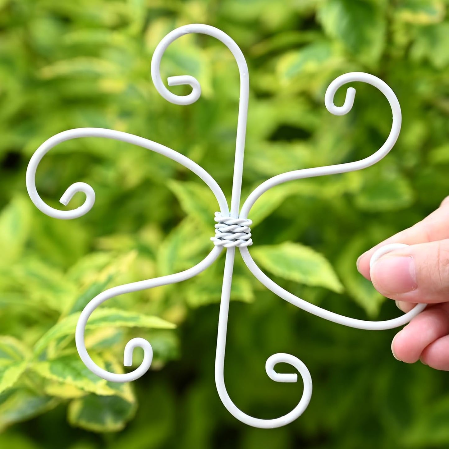 5PCS Monstera Plant Support Hook - 5.5x5.5 inch Premium Indoor Stem Stabilizer for Monstera & Fishbone Cactus, Durable,Easy Installation, Gentle Protection for Healthy Plant Growth-VerdiqueGarden