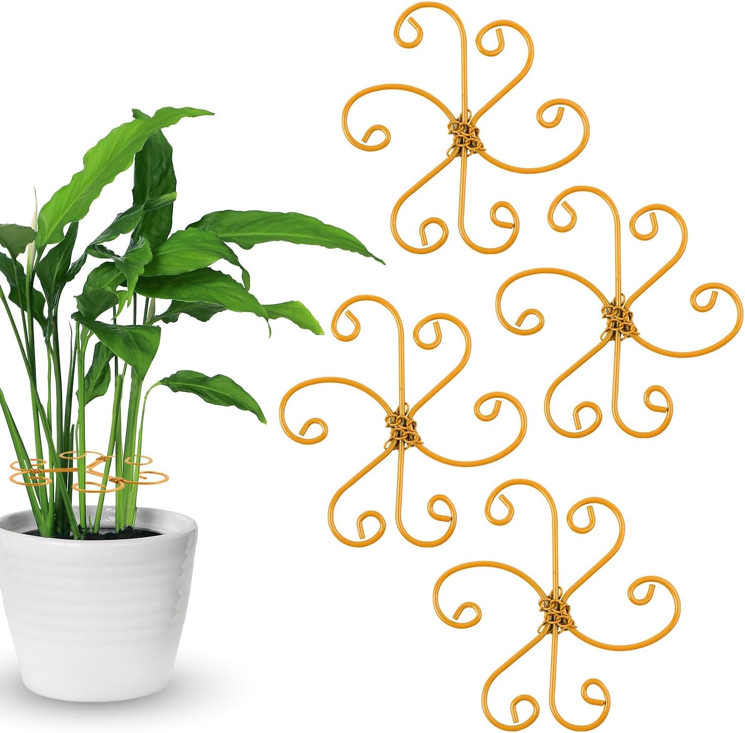4-Pack Plant Stem Support, Plant Stabilizer for Indoor Plants, Monstera Plant Support System, Plant Stem Holder for Fixing Green Plants and Vines (A)-VerdiqueGarden