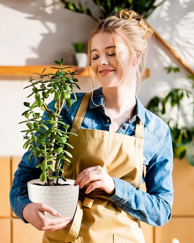 Plant Pots, Flower Pots, Planters for Indoor Plants(6.5+5.5inch), Flower Pots for Indoor Plants with Drainage Hole and Saucer, Ceramic Pots for Plants with Hole Mesh Pad,Reactive Glaze White-VerdiqueGarden