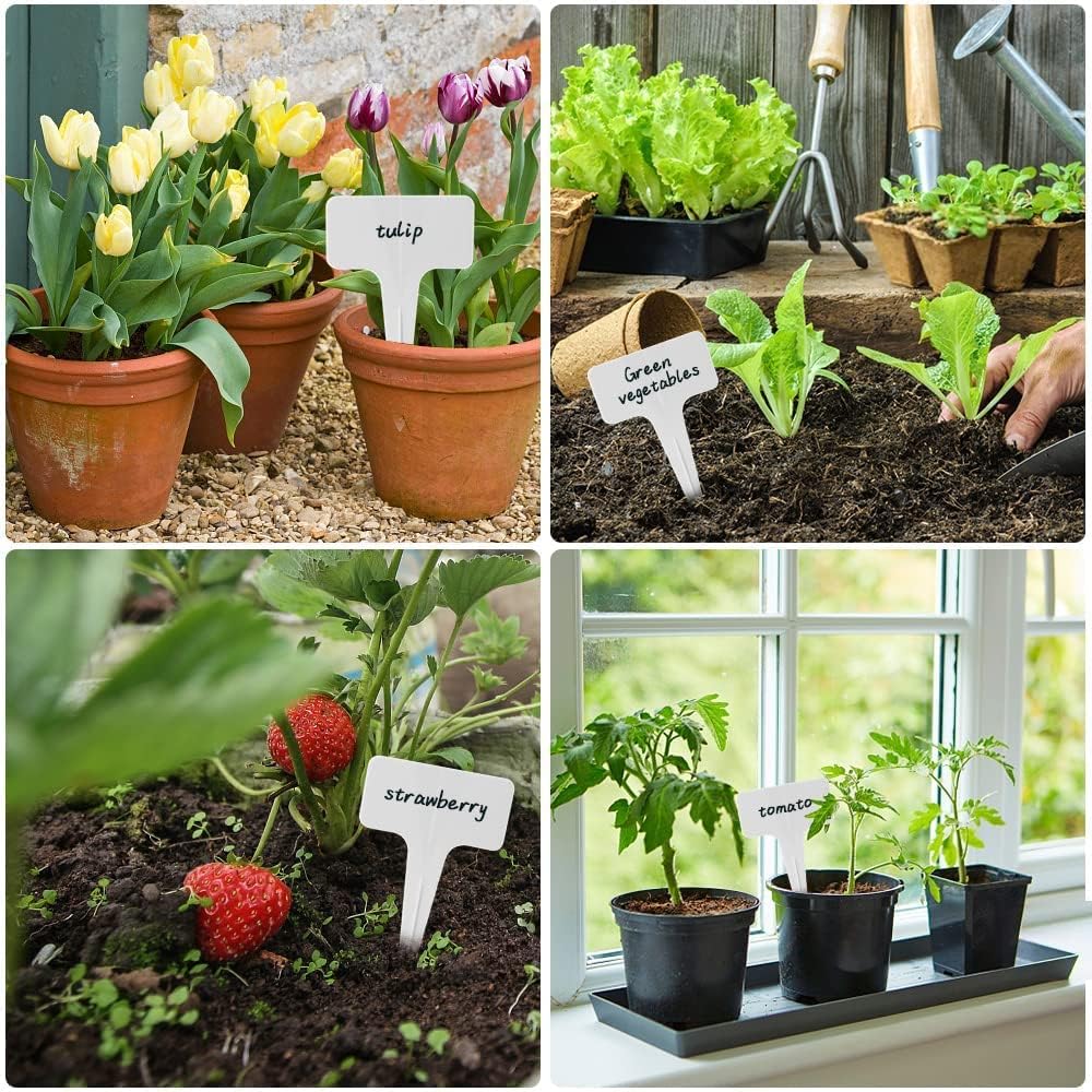100 PCS White Plastic Plant Tags Thick Gardens Labels T-Type Nursery Markers Re-Usable-VerdiqueGarden