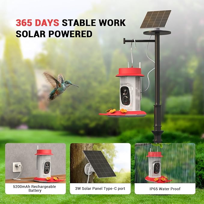 Hummingbird Feeder with Camera, AI Smart Identification Cloud Storage Function, Featuring Ant Moat Protection, Solar Power, Instant Notification, Automatic Bird Video Capture, and Motion Detection-VerdiqueGarden