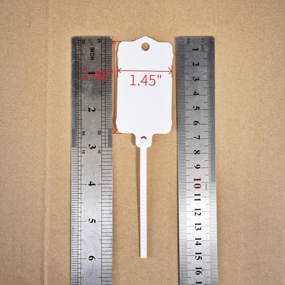 100pcs Reusable Blank Plastic Tags Ties Key Tags 1.45"*2.48" Serrated Tension Sealing Strap with Large Label Plastic Tie Mark Label Waterproof Hang Sign Write on Tag (5 Colors Mixed, 100pcs)-VerdiqueGarden