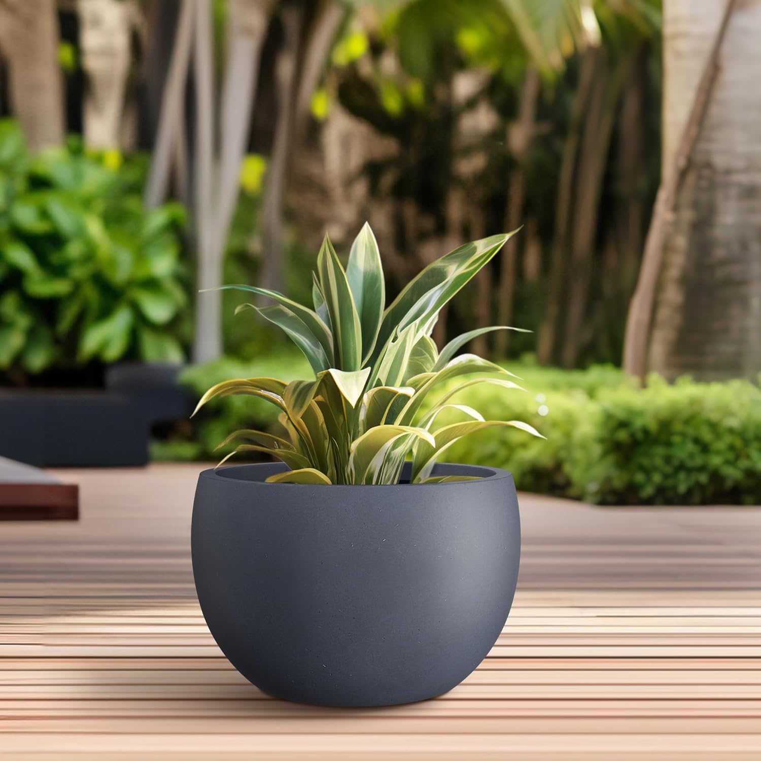 Kante 15.7" Dia Round Concrete Planter, Outdoor/Indoor Large Bowl Plant Pots with Drainage Hole and Rubber Plug for Garden Patio Balcony Home, Charcoal-VerdiqueGarden