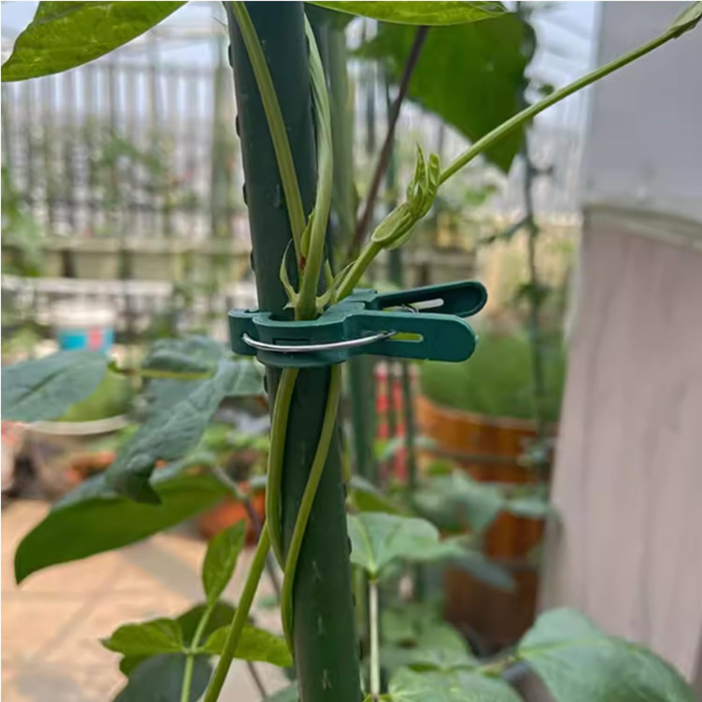 60 Garden Plant Clamps,Plant Support Clamps Hold Plant Stems,for Multi-Purpose Plants Rattan Clamps Rose,Sturdy Cucumber Orchid Clamps Plant Support Adjustable Clamps Green (Small 60Pcs)-VerdiqueGarden