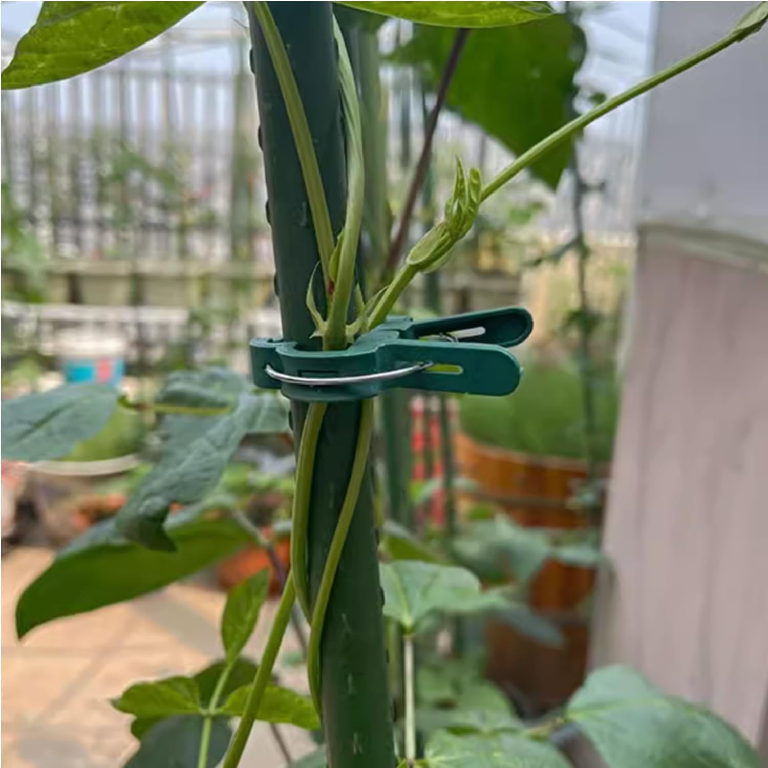 60 Garden Plant Clamps,Plant Support Clamps Hold Plant Stems,for Multi-Purpose Plants Rattan Clamps Rose,Sturdy Cucumber Orchid Clamps Plant Support Adjustable Clamps Green (Small 60Pcs)-VerdiqueGarden