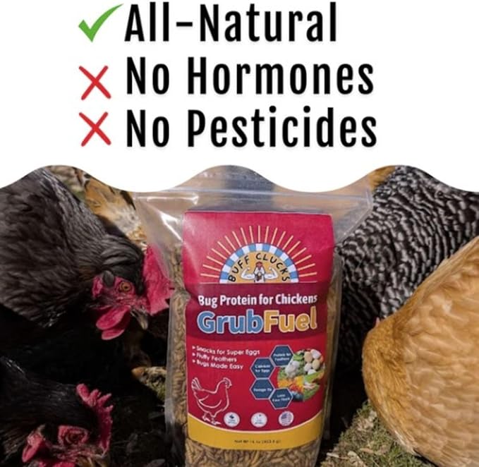 Grub Fuel Black Soldier Fly Larvae for Chickens - Nutrient Packed BSFL, Sustainably Sourced Snack for Poultry, Rich in Protein, Calcium, Fiber, Essential Fatty Acids, USA Grown (5LB)-VerdiqueGarden