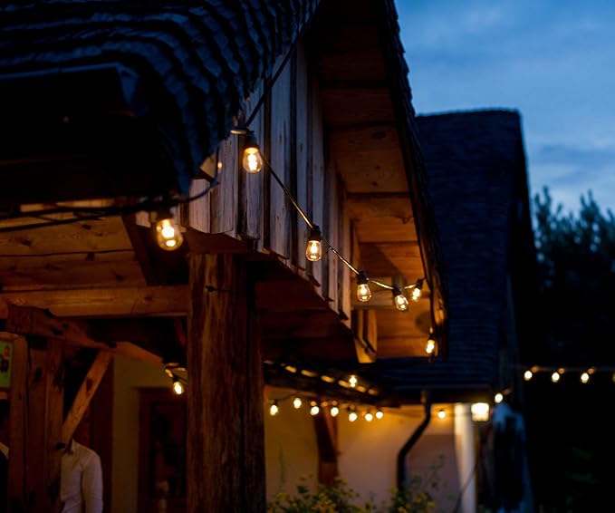 Hometown Evolution, Inc. 100' E26 Commercial LED Outdoor String Lights (100 Foot 50 Socket, S14 LED Filament 1 Watt Light Bulbs)-VerdiqueGarden