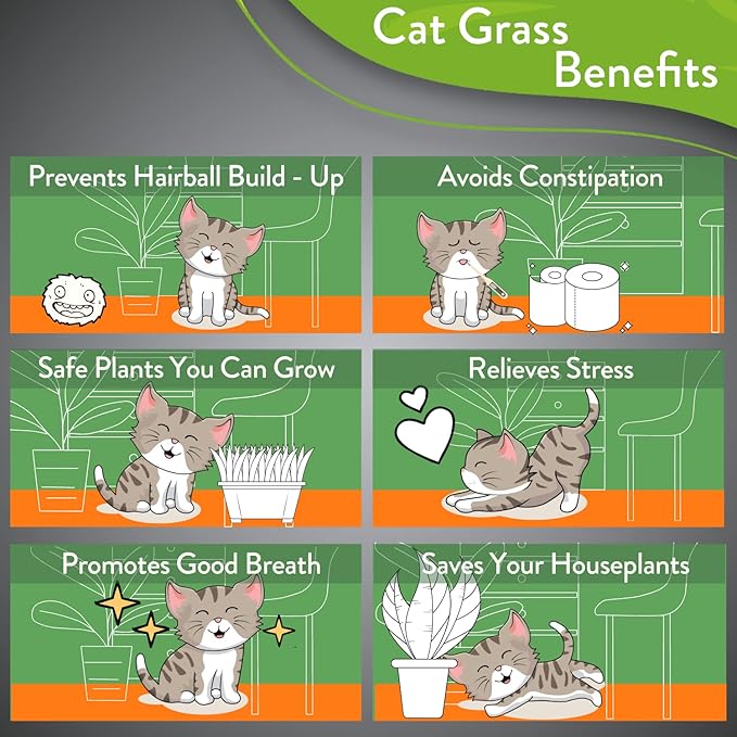 HOME GROWN 3 Cat Grass Seed Mix – Non-GMO Heirloom Oat, Alfalfa & Cat Grass Seeds | Indoor Pet Grass for Cats | High-Germination Greens for Hairball Control, Digestion, and Chewing Enrichment-VerdiqueGarden