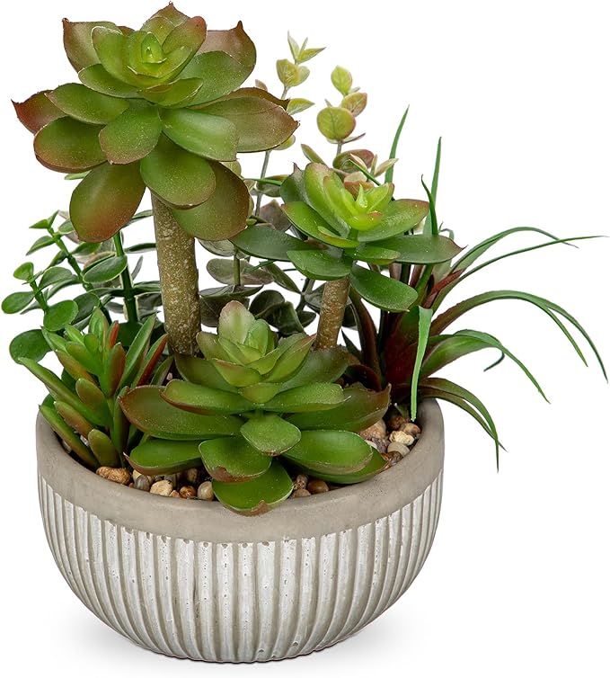 DILATATA Small Faux Plant Assorted Fake Succulents Plants Faux Succulents Arrangement Cement Potted Desk Plants Small Fake Plants for Home Table Office Bathroom Shelf Living Room Decor-VerdiqueGarden