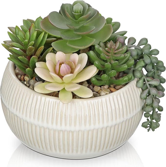 DILATATA Artificial Succulent Plants in Pot 5.5 Inch Fake Succulents Arrangement Potted Plant in White Ceramic Planter Bowl for Home Office Desk Shelf Living Room Bedroom Bathroom Decor-VerdiqueGarden