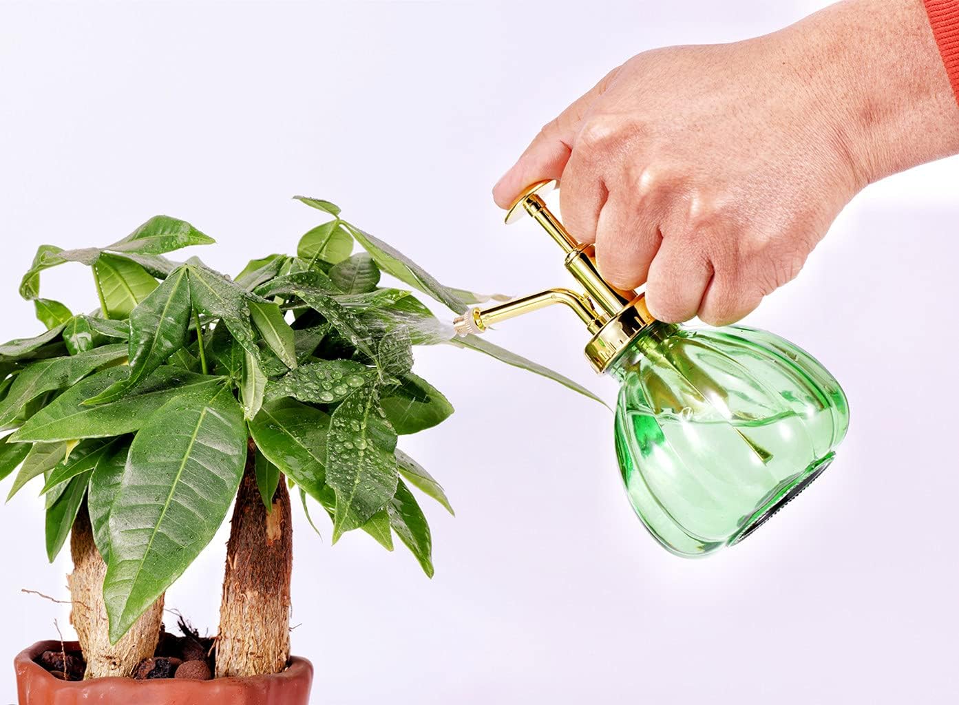 Glass Plant Mister Spray Bottle, 6.5" Green Glass Water Spray Bottle with Gold Top Pump Small Watering Can, Small Plant Sprayer Mister for Indoor Outdoor House, Green+Gold (Green+Gold C)-VerdiqueGarden