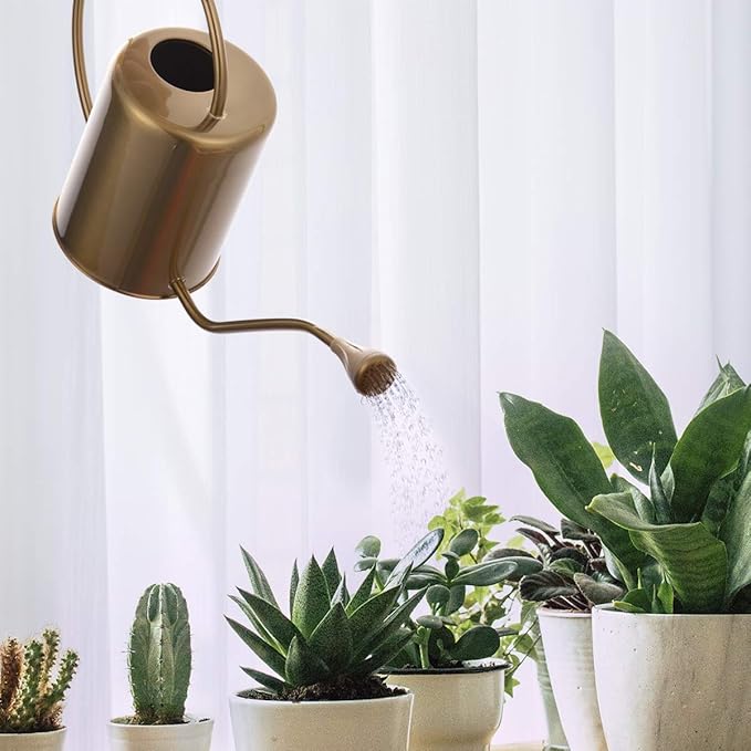 1/2 Gallon 68oz Long Spout Stainless Steel Gold Colored Watering Can for Indoor Plant Watering or Outdoor Gardening with 2 Removable Spray Spout for Flowers, Medium-VerdiqueGarden