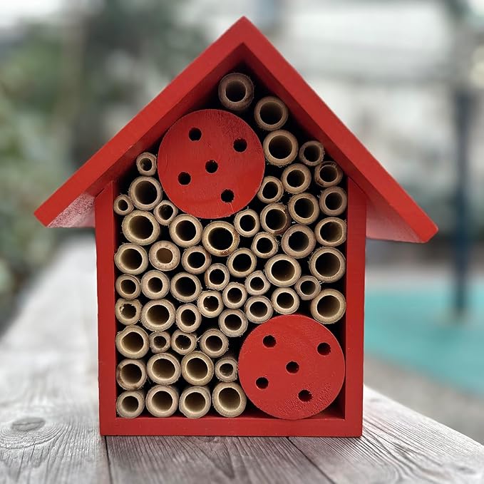 Mason Bee Houses Outdoor Wooden Bee Hotel for Garden and Yard Hand-Made Bamboo Bee Hive for Bees Butterflies and Ladybugs, Medium Size 8"x7.5"x5", Red-VerdiqueGarden