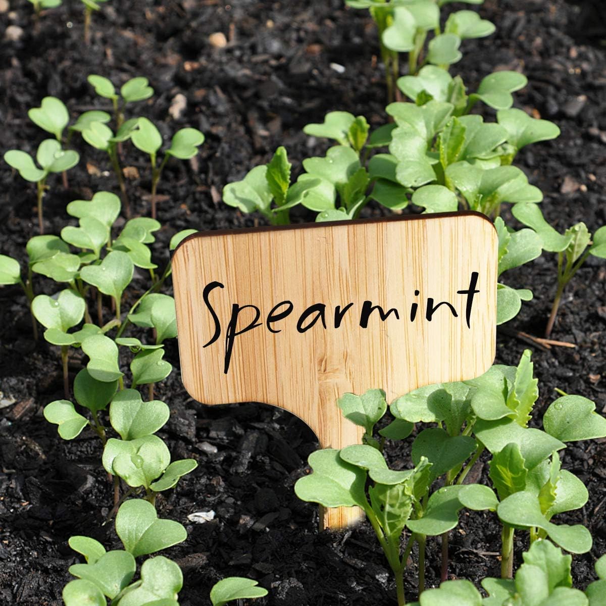 Homenote Bamboo Plant Labels 100Pcs Plant Tags for Seedling T-Type Tags for Plants Outdoor Garden Markers Vegetable Seedling(2.36 * 4“)-VerdiqueGarden