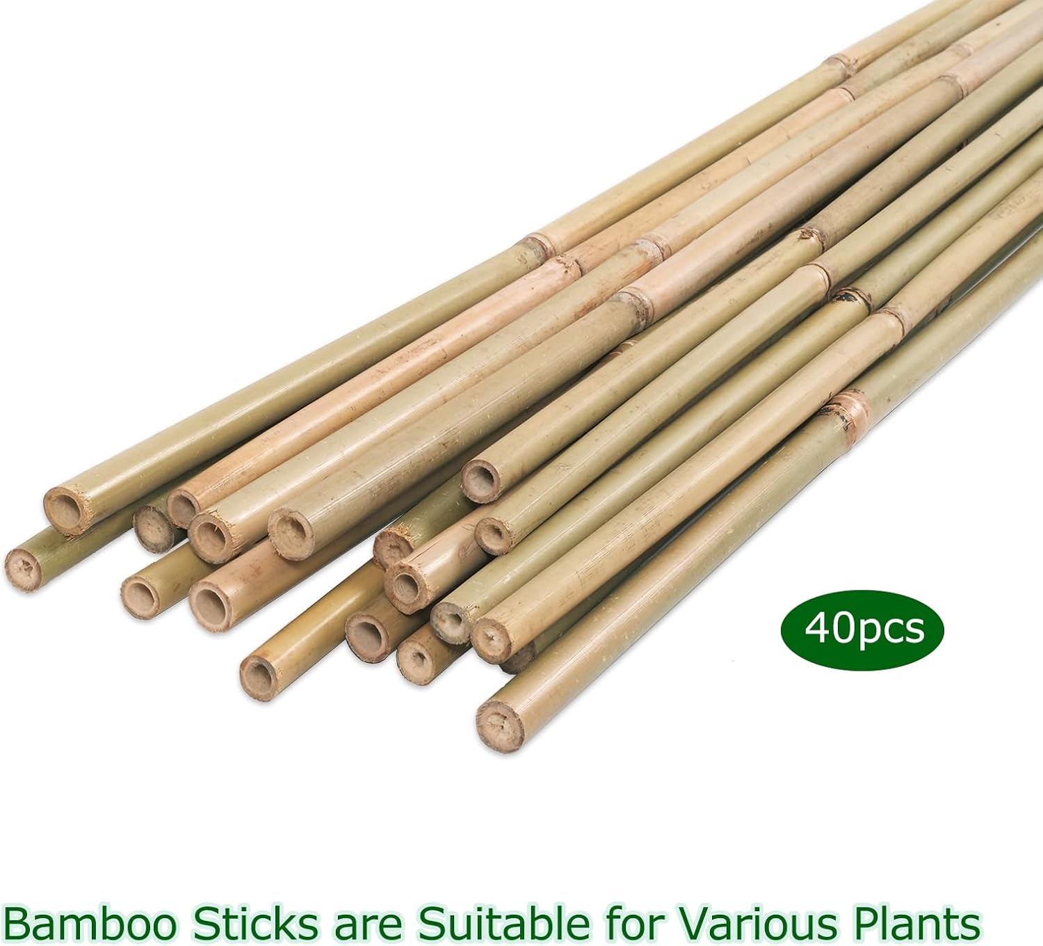 40pcs Natural Bamboo Sticks for Indoor and Outdoor Plants, 16 Inch Plant Support Stakes for Tomato, Beans, Potted Plants and Vegetable-VerdiqueGarden