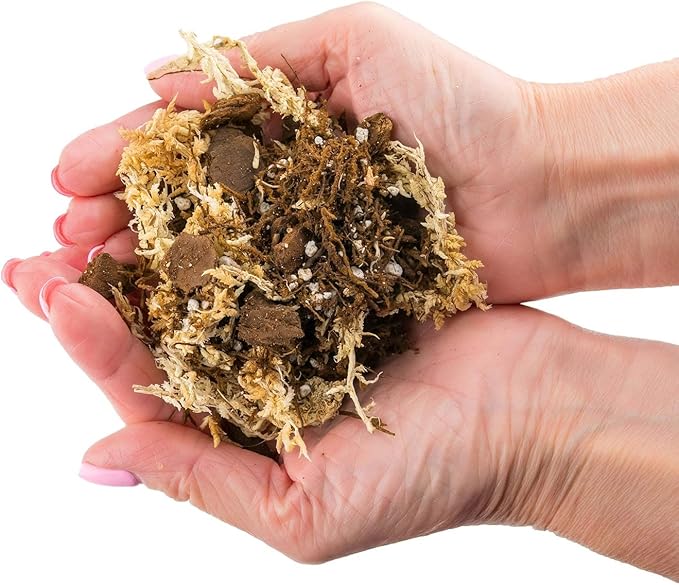 Premium Orchid Mix by GARDENERA - 10 Quart - Fern + New Zealand Pine Bark + Sphagnum Moss + Perlite | Best for Growing and Repotting Orchids (2 Bags of 5 QT)-VerdiqueGarden