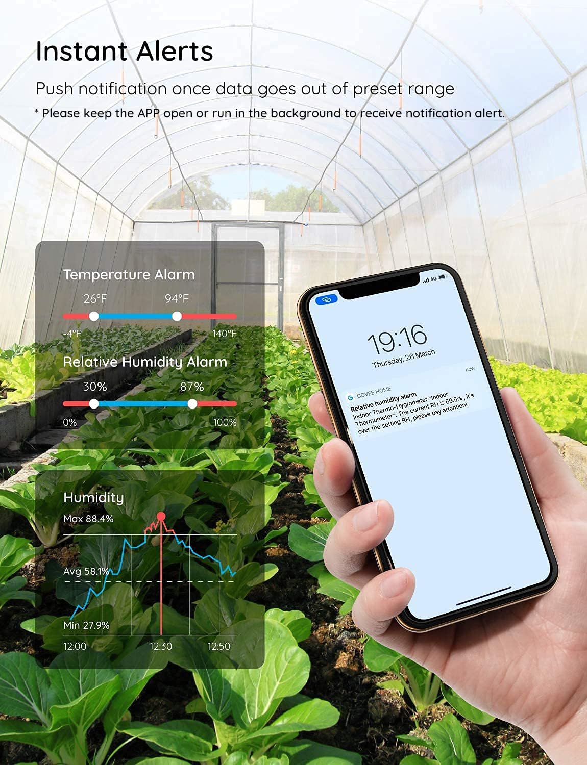 Govee Bluetooth Digital Hygrometer Indoor Thermometer, Room Humidity and Temperature Sensor Gauge with Remote App Monitoring, Large LCD Display, Notification Alerts, 2 Years Data Storage Export, Grey-VerdiqueGarden