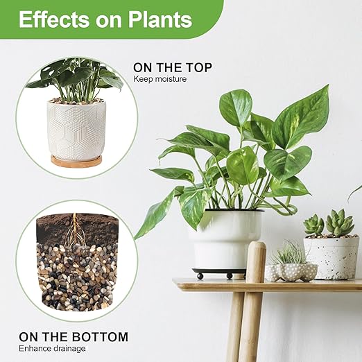 10 lbs Pebbles for Indoor Plants, Succulent, Bamboo, Vase, 3/8" Plant Rocks for Pots Indoor, Small River Rocks Decorative Pea Gravel, Highly Polished-VerdiqueGarden