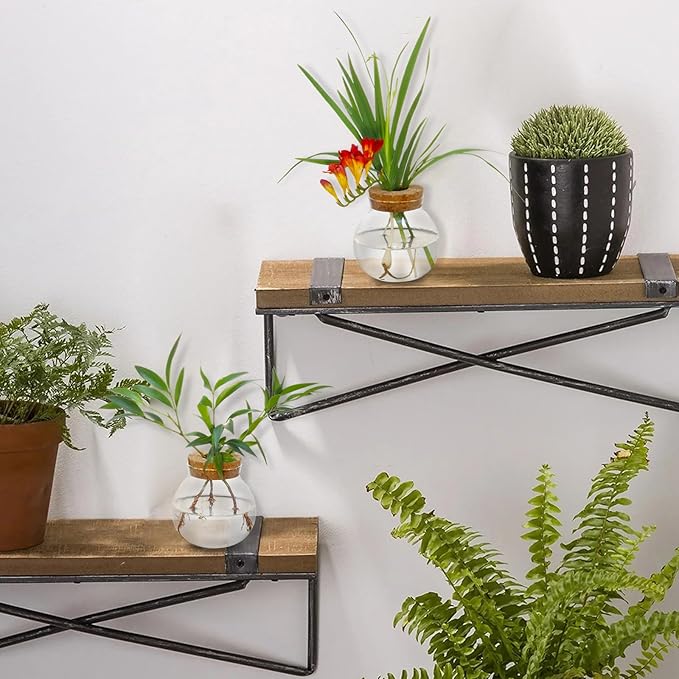 Plant Propagation Station,Hydroponic Terrarium Vase,Desktop Glass Planter Station,for Houses,Garden Decorations,ropagating Hydroponic Plants,Centerpiece Office,Home Garden Decor (6)-VerdiqueGarden