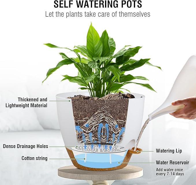 Self Watering Hanging Planters 10 inch, 2 Pack Hanging Baskets for Indoor Outdoor Plants, Hanging Flower Pots with Drainage Holes & 2 Kinds of Plant Hangers for Garden Home Décor, White Brown-VerdiqueGarden
