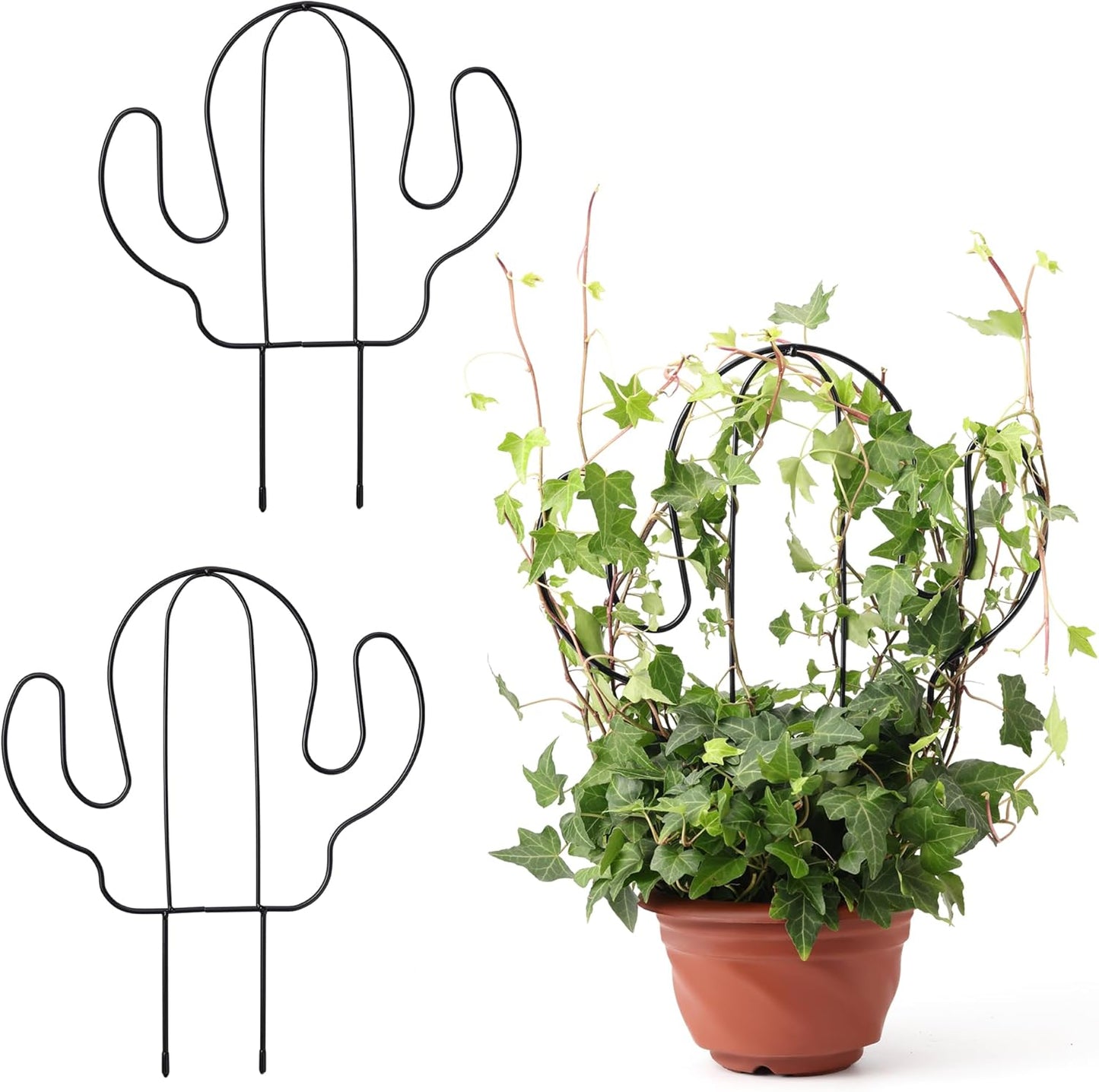2 Pack Plant Trellis Indoor, 11.4" W x 13" H Small Trellis for Potted Plants, Decorative Trellis for Climbing Plants Indoor, Ideal for Vines on Tabletops, Balconies, Gardens and Lawns, Cactus-Shaped-VerdiqueGarden