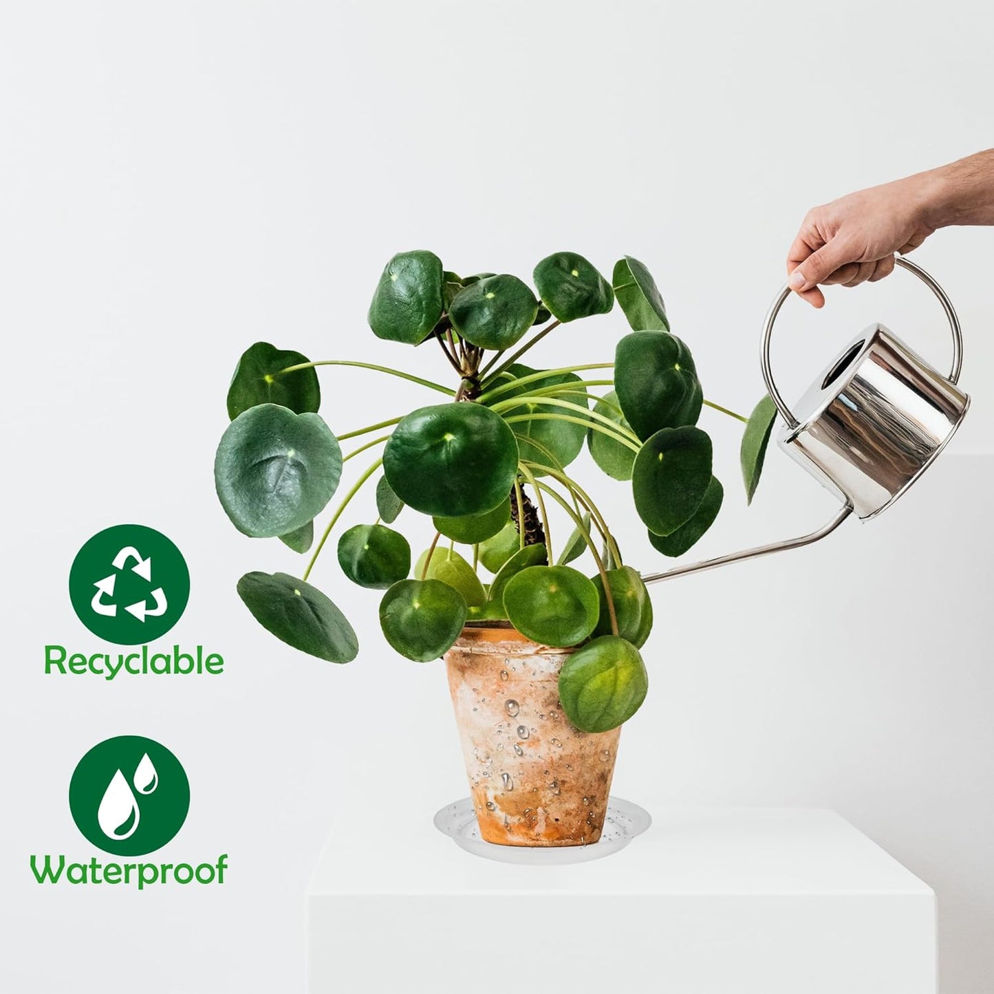 12 Pack 8 Inch Round Plant Saucers for Less 6.8 Inch Pot Indoors Outdoors Plant Trays for Pots Planter Saucer Plastic Plant Drip Tray Planter Water Tray for Potted Plants (Clear, 8"(12pcs))-VerdiqueGarden