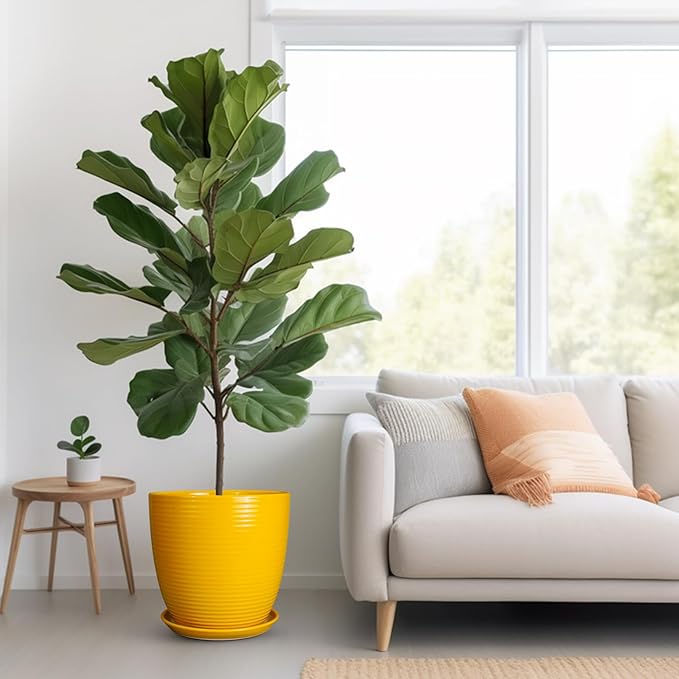 12 Inch Pots for Plants - Ceramic Planter for Indoor Plants Large Plant Pot with Drainage Hole and Saucer Round Outdoor Flower Pot for Garden Home Patio Office Yellow-VerdiqueGarden