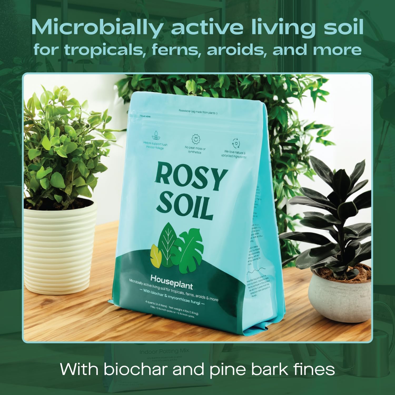 Rosy Soil Indoor Potting Soil for House Plants - Organic Potting Soil Mix for Indoor Plants - Enriched w/Root-Boosting Biochar for Foliage Plants, Flowers, Herbs - Peat Free, Less Prone to Gnats - 4qt-VerdiqueGarden