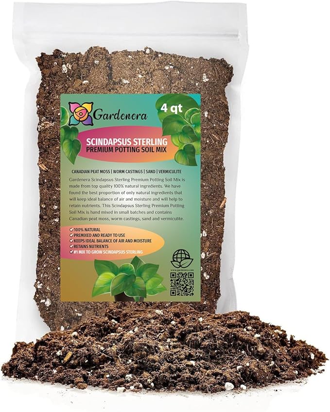 Scindapsus Sterling Potting Mix - Promote Strong Roots and Captivating Foliage with Our Premium Blend - 4 Quart-VerdiqueGarden