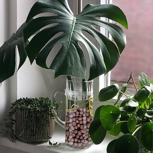 10LB Leca Clay Pebbles for Plants, Expanded Leca Balls for Indoor Plants, Orchid Potting Mix, Soil Amendment, Drainage, Easy Reusability, 4-16mm-VerdiqueGarden