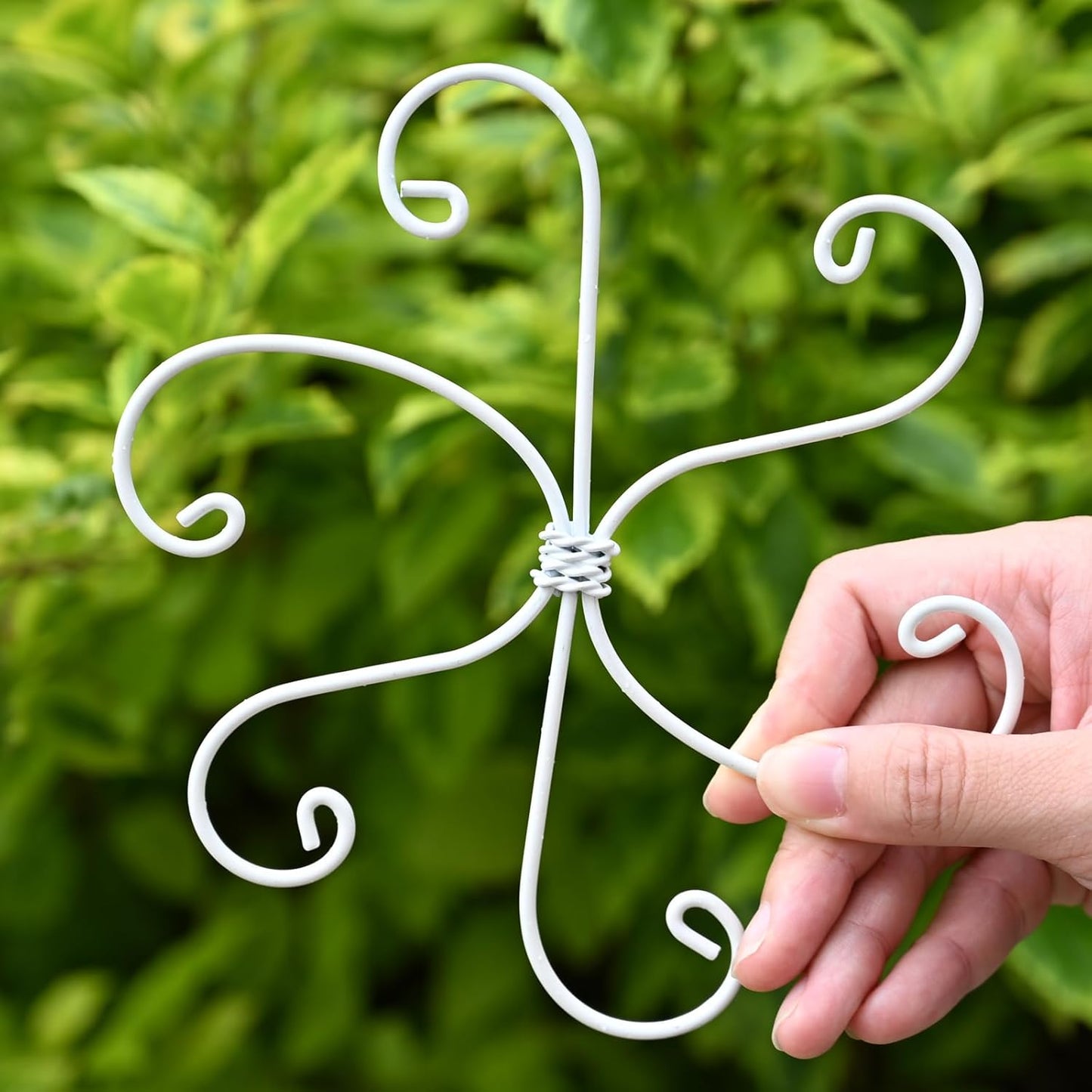 6.5 * 6.5in Monstera Plant Support Hook 5PCS - Durable Stabilizer & Leaf Holder for Indoor Plants, Flexible Installation & Soft Grip Design - Perfect for Fishbone Cactus and Other Houseplants-VerdiqueGarden