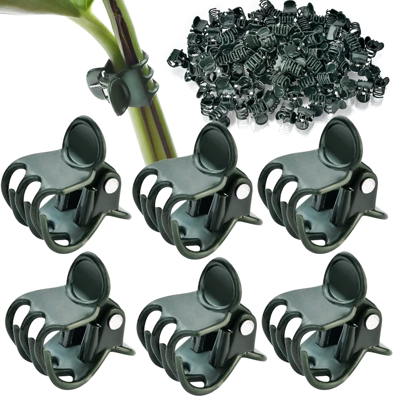 AccEncyc 100 Pcs Plant Clips Orchid Clips Plants Orchid Support Clips Flower Vine Clips for Supporting Stems Vines Stalks Climbing Plant Grow Upright-VerdiqueGarden