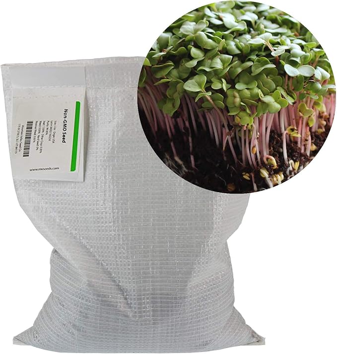 Radish Sprouting Seed - Red Arrow Variety - 5 Lb Bulk Seed - Heirloom Radish Sprouts - Non-GMO Sprouting and Micro Radishes-VerdiqueGarden