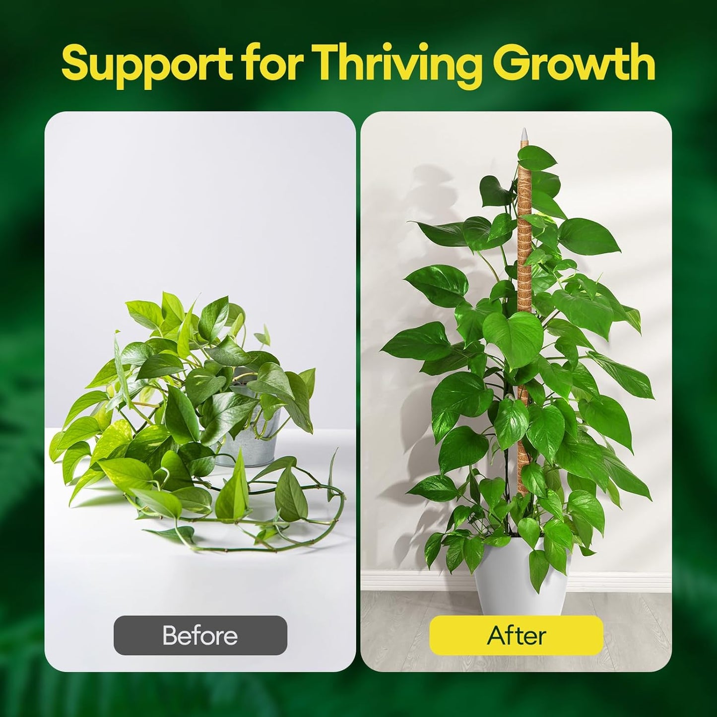 3-Pack 48” Bendable Moss Pole Monstera Plant Support for Climbing Indoors Plants, Coir Moss Poles Moss Sticks Plant Pole DIY, Plant Support Stake for Potted Plants-VerdiqueGarden