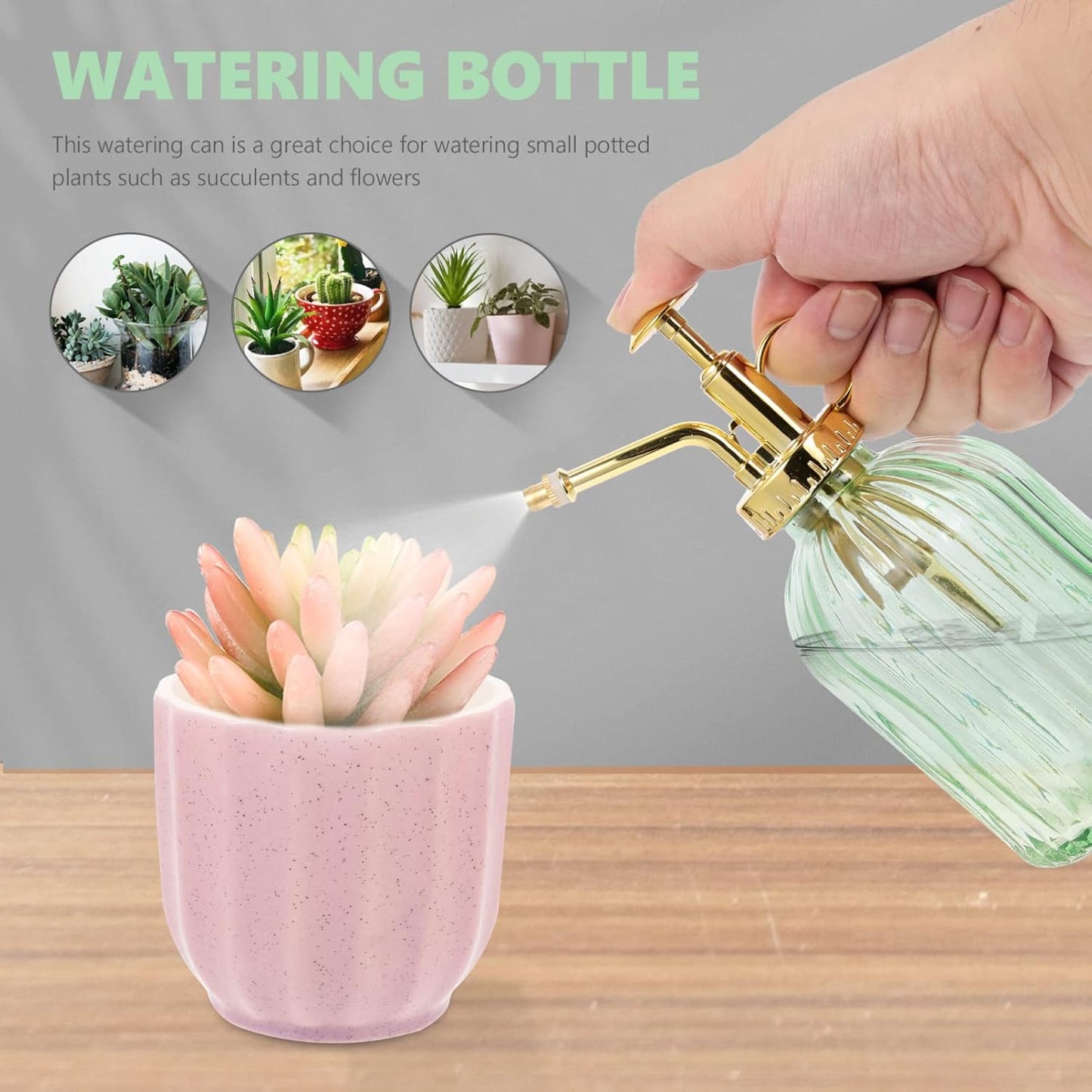 Vintage Glass Watering Bottle Retro Plant Mister with Pump for Indoor and Outdoor Use for Plants Succulents and Bonsai Trees Charming Decoration-VerdiqueGarden