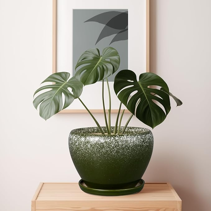 10 Inch Planter Pot - Ceramic Pots for Plants with Drainage Hole and Saucer, Round Large Flower Pot for Indoor Plants, Dark Green-VerdiqueGarden